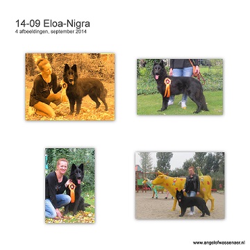 Eloa-Nigra tijdens de show in Polen wordt weer 1ste met een uitmuntend!